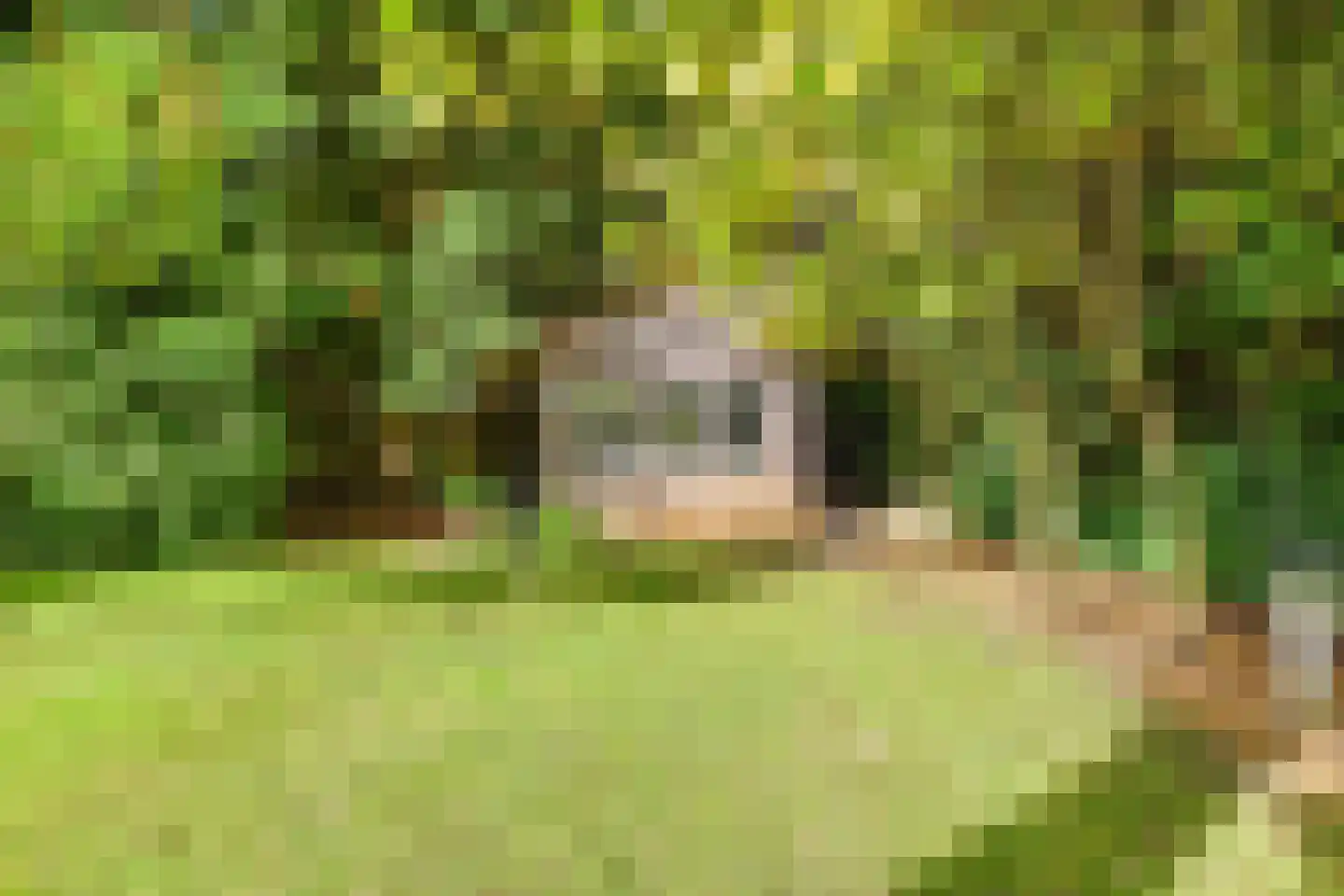 Breeweg 7 Laren thumbnail 24