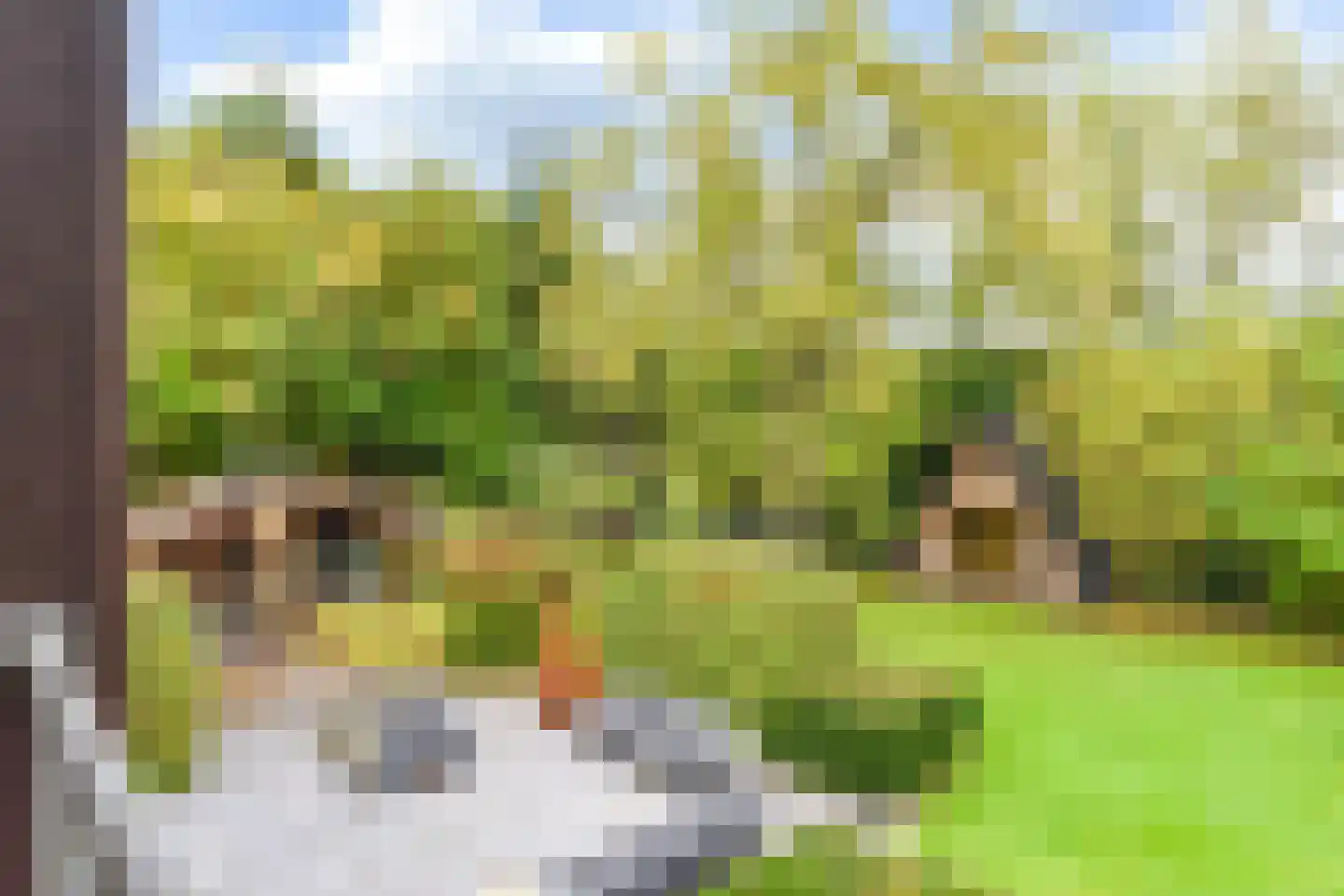 Breeweg 7 Laren thumbnail 36