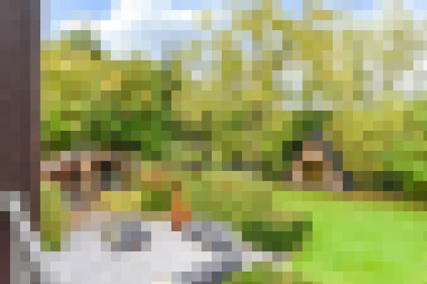 Breeweg 7 Laren thumbnail 37