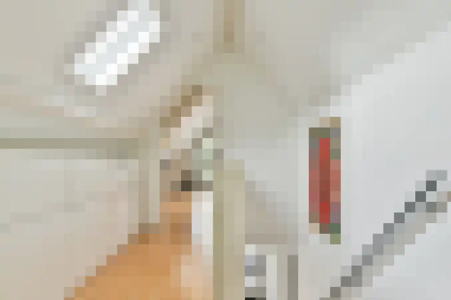 Breeweg 7 Laren thumbnail 46