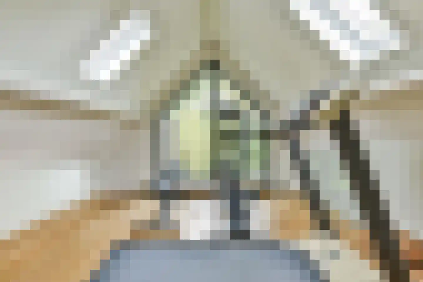 Breeweg 7 Laren thumbnail 48