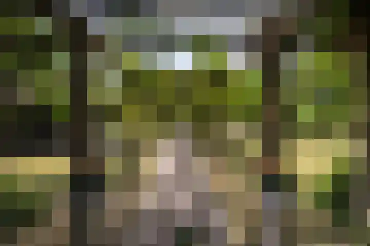 Breeweg 73 Middelburg thumbnail 54