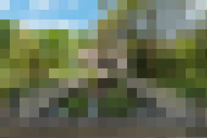 Breeweg 73 Middelburg thumbnail 58