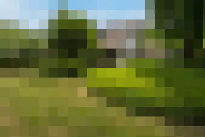 Breeweg 73 Middelburg thumbnail 65
