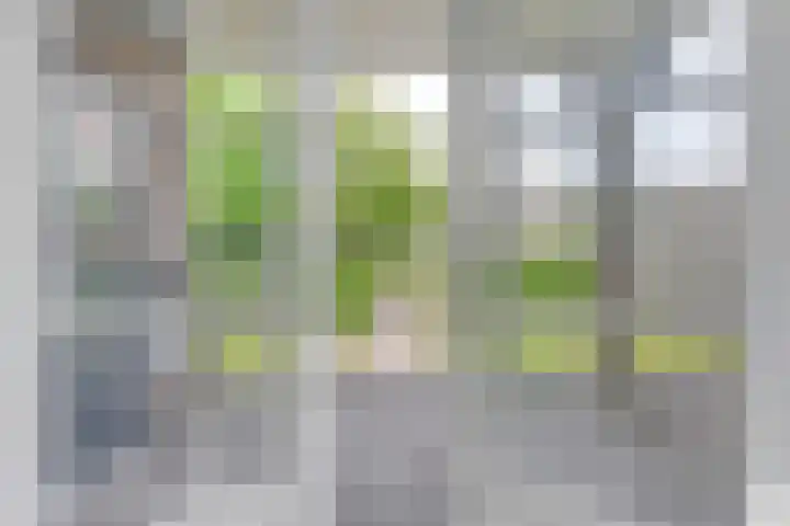 Breeweg 74 Middelburg thumbnail 10