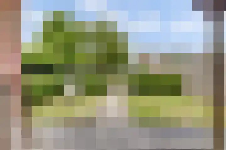 Breeweg 74 Middelburg thumbnail 33