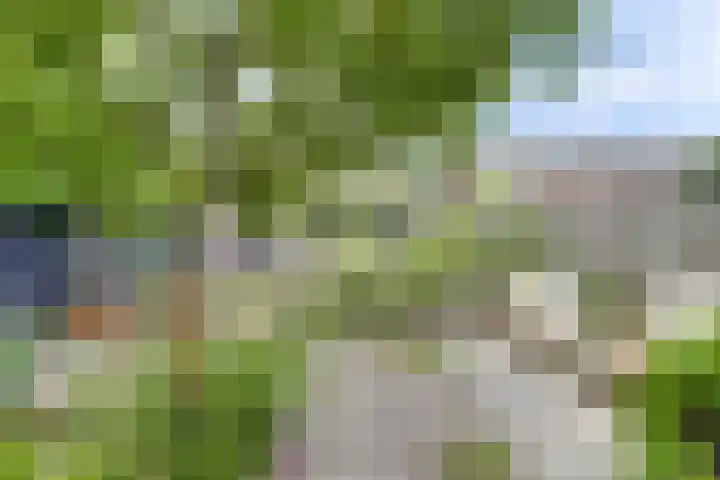 Breeweg 74 Middelburg thumbnail 35