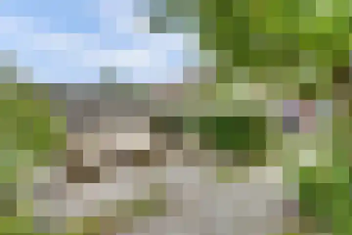 Breeweg 74 Middelburg thumbnail 36