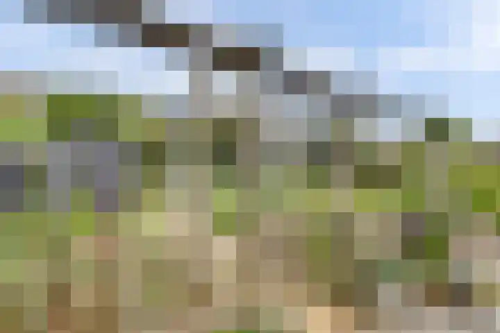 Breeweg 74 Middelburg thumbnail 37