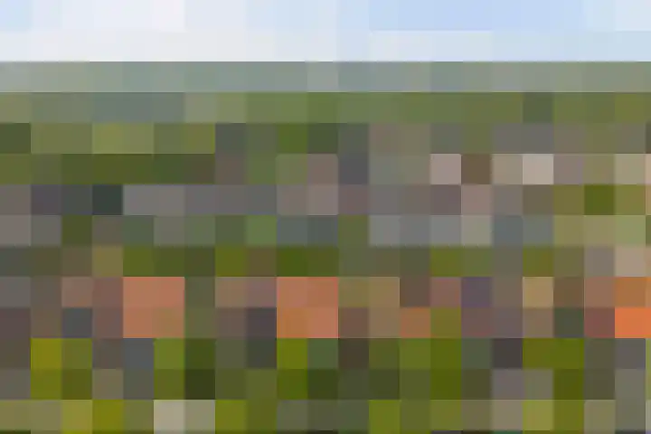 Breeweg 74 Middelburg thumbnail 40