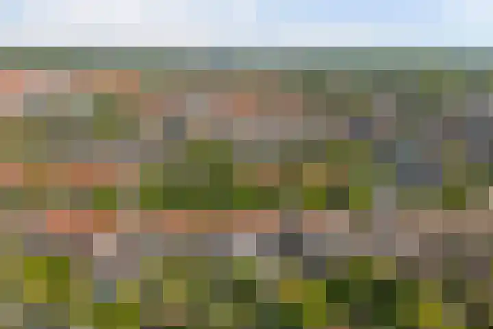 Breeweg 74 Middelburg thumbnail 41