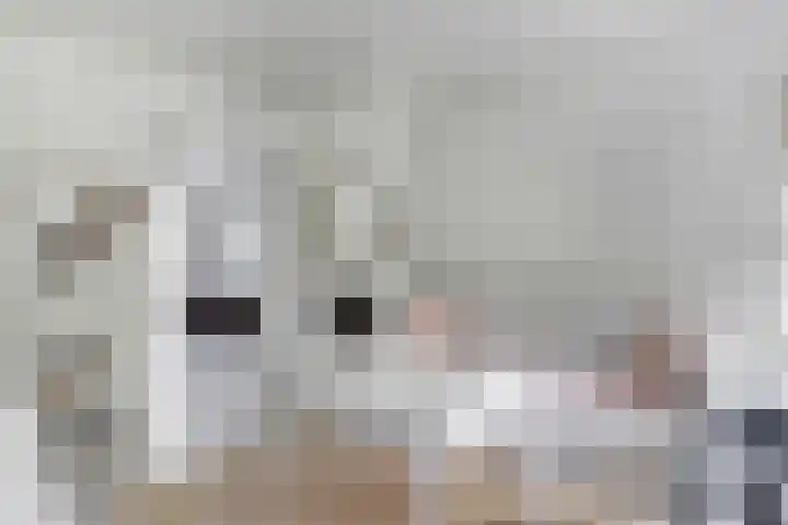 Breeweg 74 Middelburg thumbnail 7