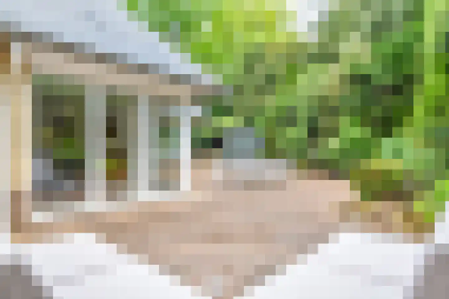 Breeweg 8 Laren thumbnail 14