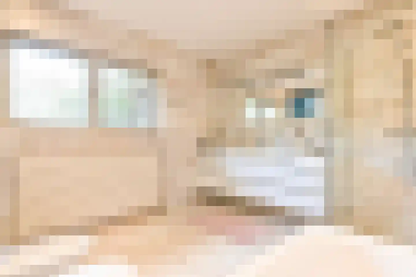 Breeweg 8 Laren thumbnail 19