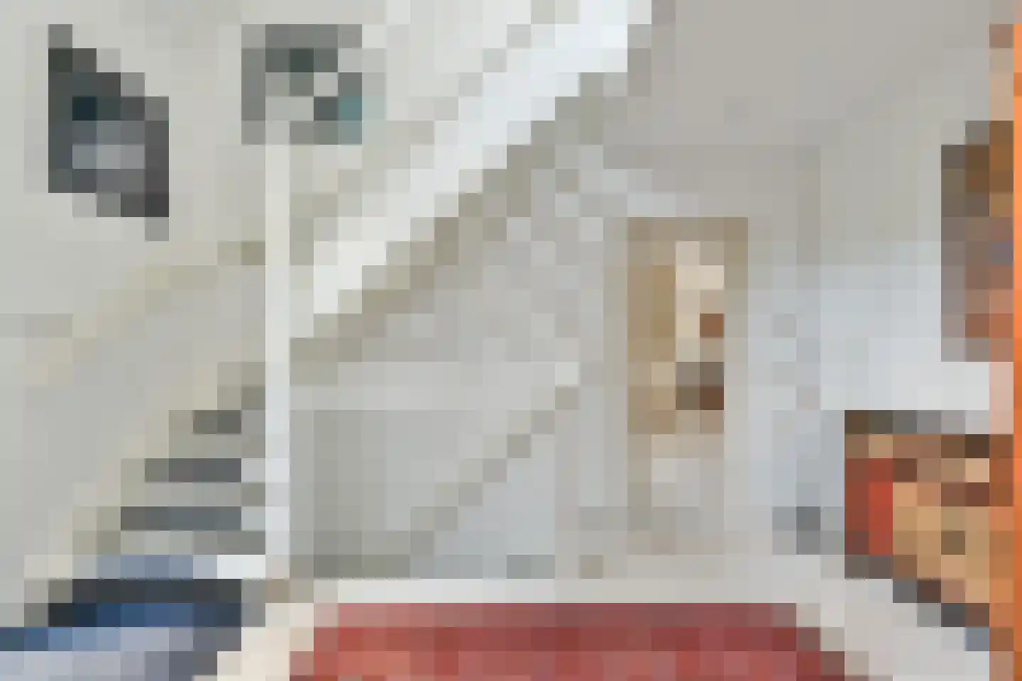 Breeweg 8 Laren thumbnail 7