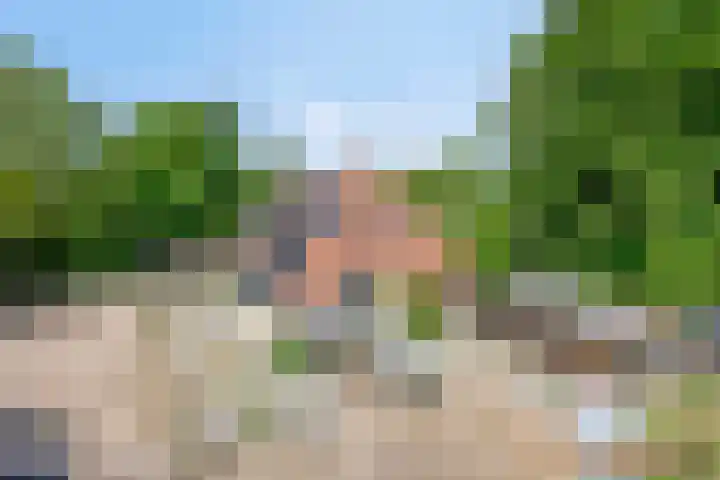 Breewei 22 en Tijnje