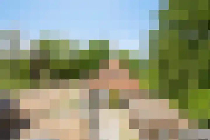 Breewei 22 Tijnje thumbnail 12