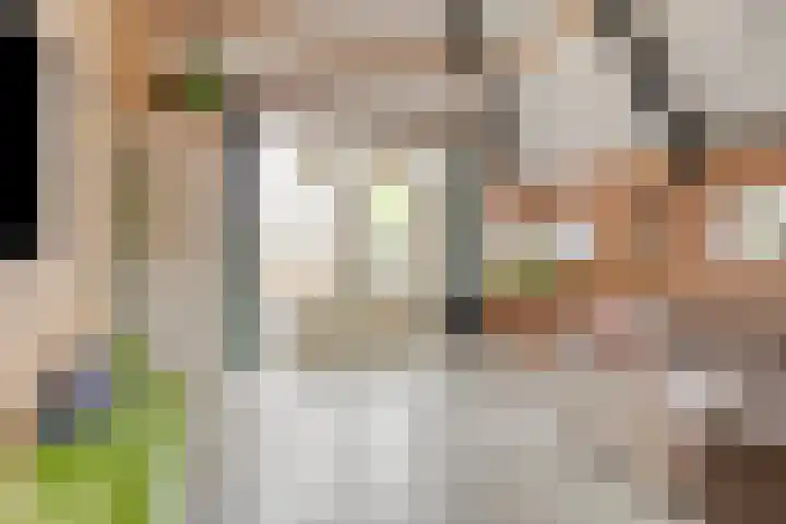 Breewei 22 Tijnje thumbnail 18