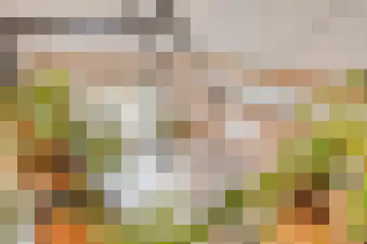 Breewei 22 Tijnje thumbnail 32