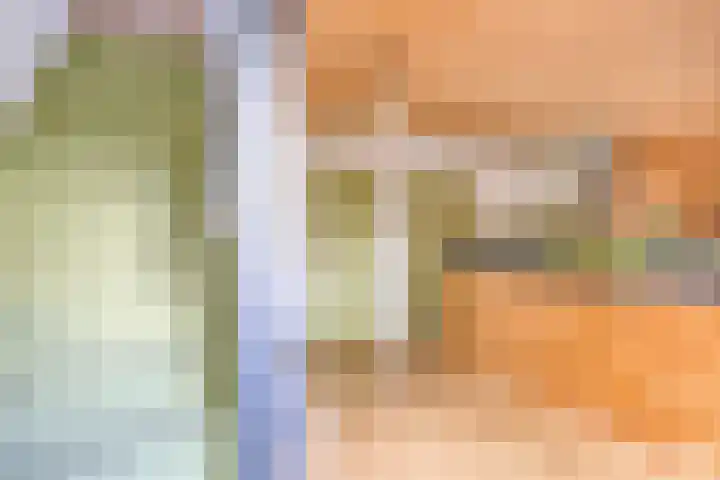 Breewei 22 Tijnje thumbnail 35