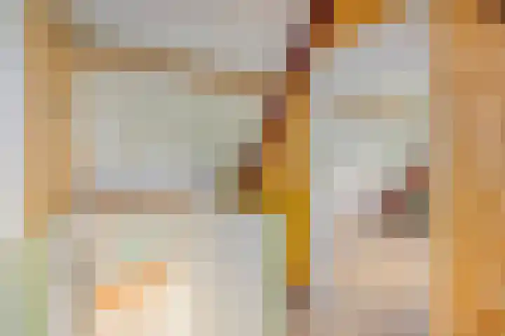 Breewei 22 Tijnje thumbnail 36