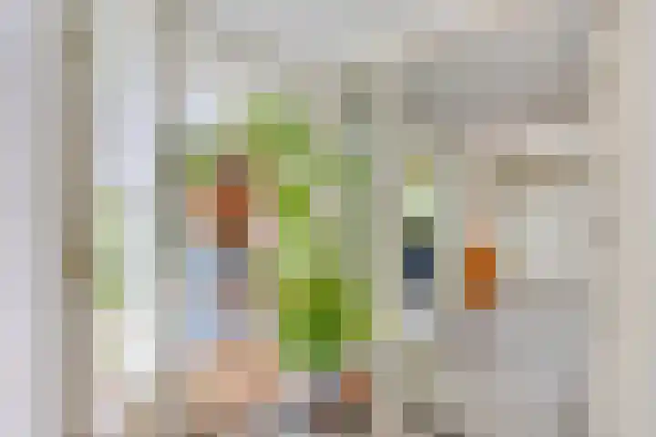 Breewei 22 Tijnje thumbnail 45