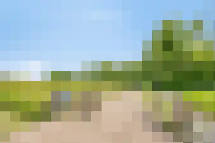 Breewei 22 Tijnje thumbnail 5
