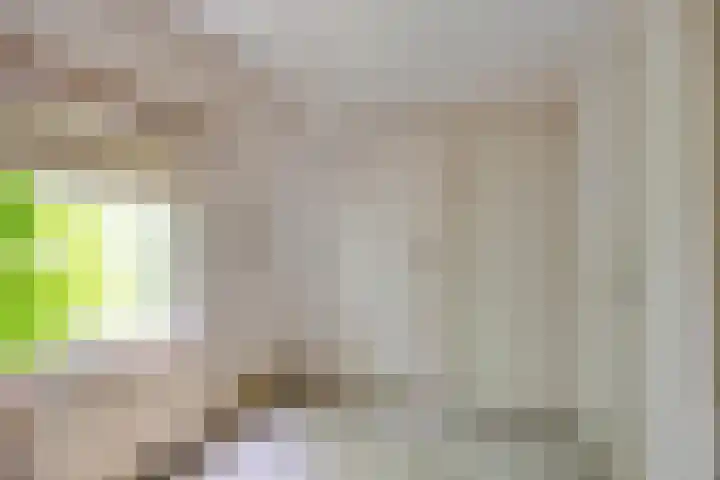 Breewei 22 Tijnje thumbnail 50