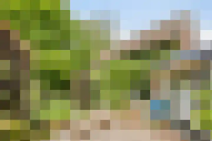 Breewei 22 Tijnje thumbnail 53