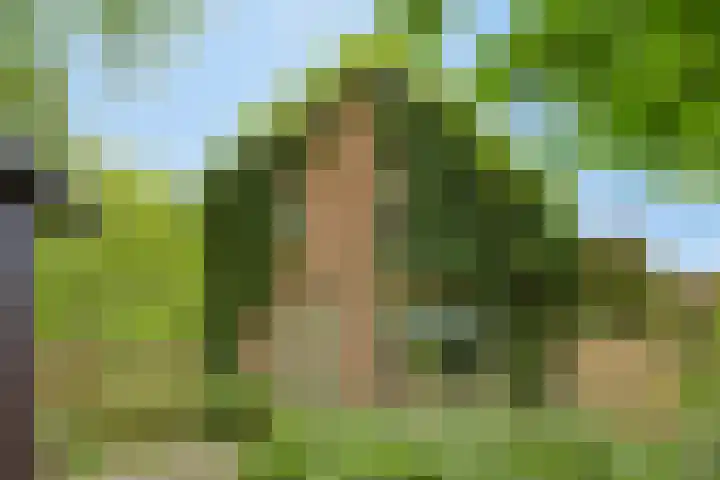Breewei 22 Tijnje thumbnail 54