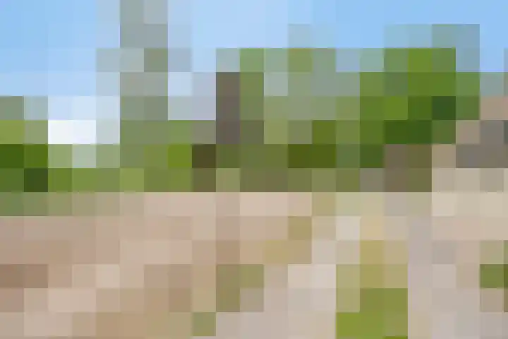 Breewei 22 Tijnje thumbnail 57