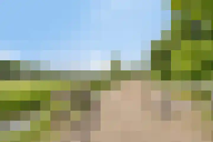 Breewei 22 Tijnje thumbnail 59