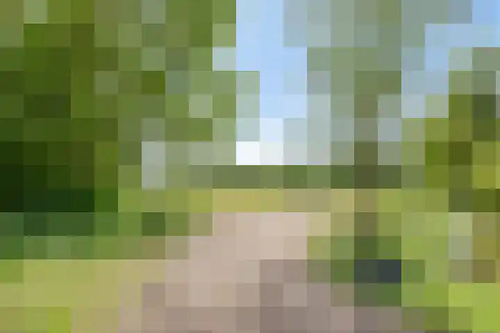 Breewei 22 Tijnje thumbnail 6