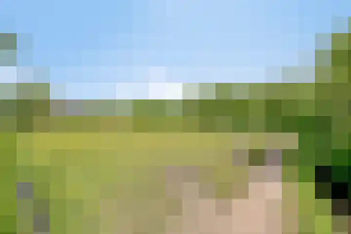 Breewei 22 Tijnje thumbnail 60
