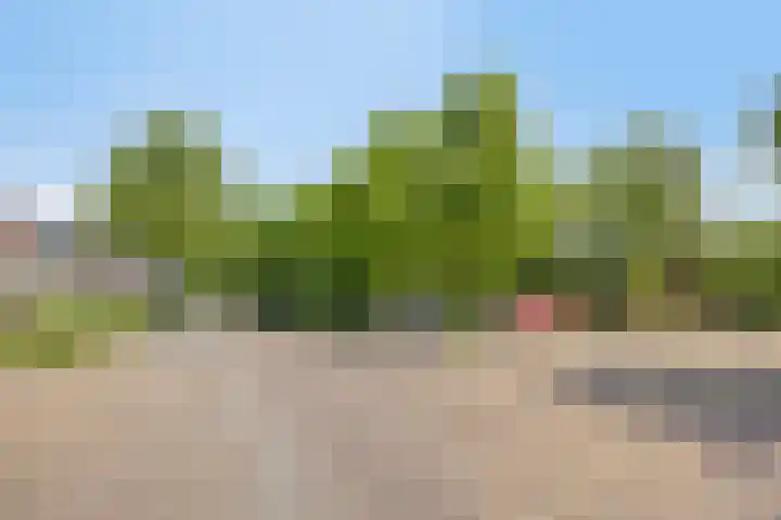 Breewei 22 Tijnje thumbnail 63