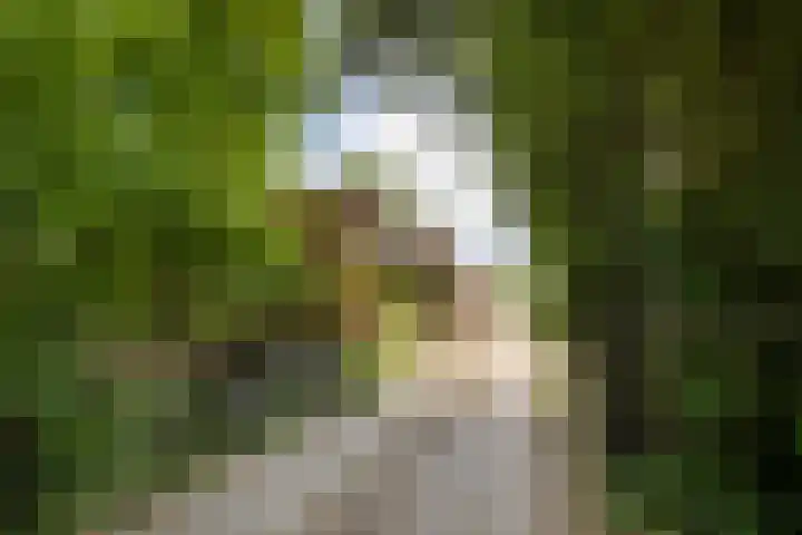 Breewei 22 Tijnje thumbnail 7