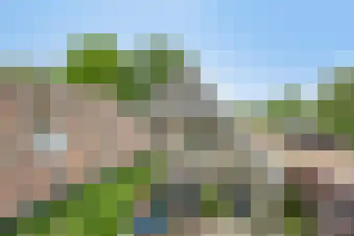 Breewei 22 Tijnje thumbnail 8