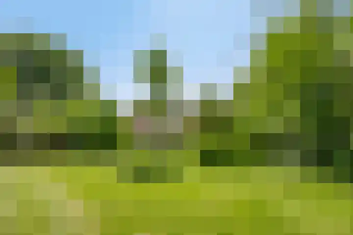 Breewei 22 Tijnje thumbnail 9
