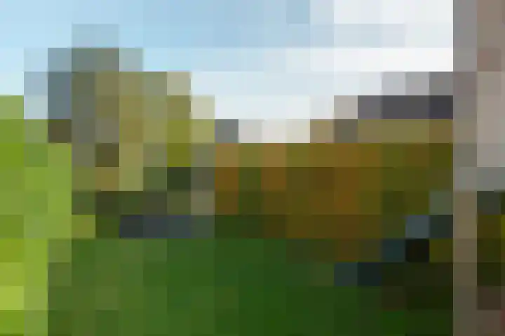 Breewei 30 Tijnje thumbnail 13