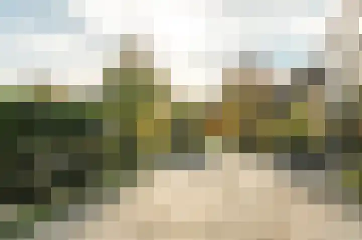 Breewei 30 Tijnje thumbnail 19