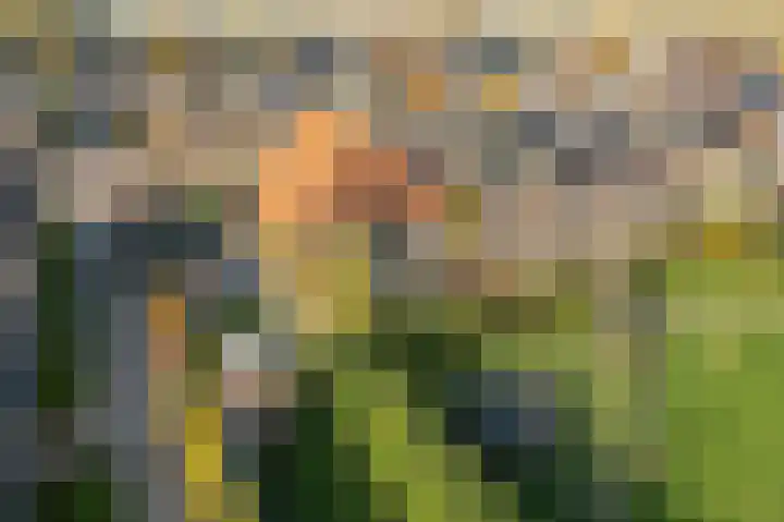 Breewei 30 Tijnje thumbnail 20