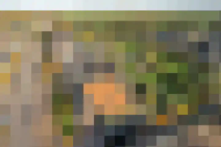 Breewei 30 Tijnje thumbnail 21