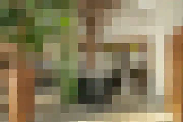 Breewei 30 Tijnje thumbnail 27