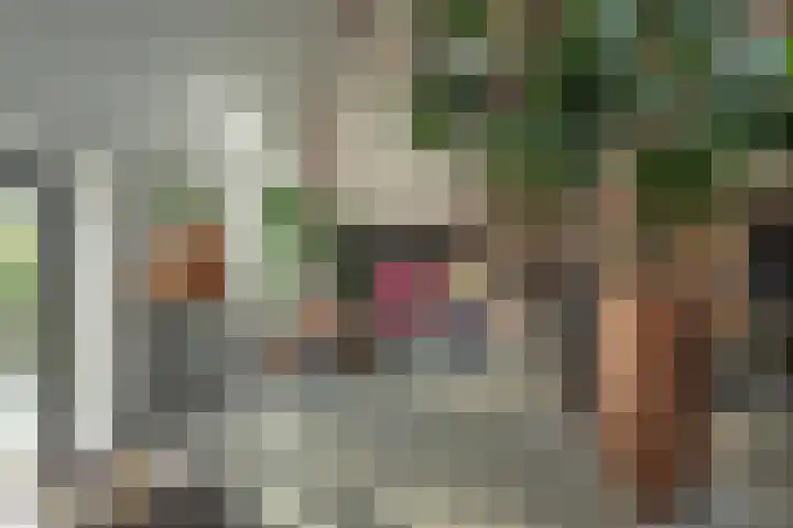 Breewei 30 Tijnje thumbnail 34