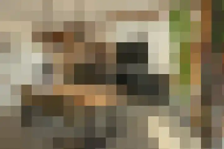 Breewei 30 Tijnje thumbnail 35