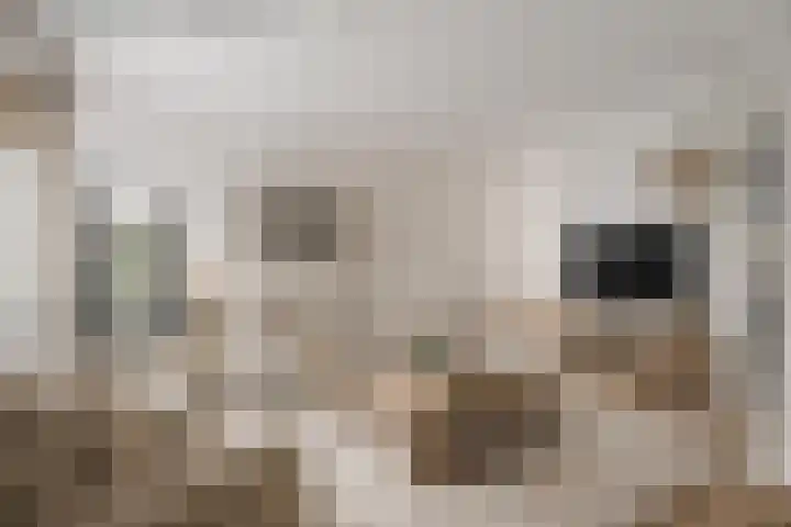 Breewei 75 A Tijnje thumbnail 24