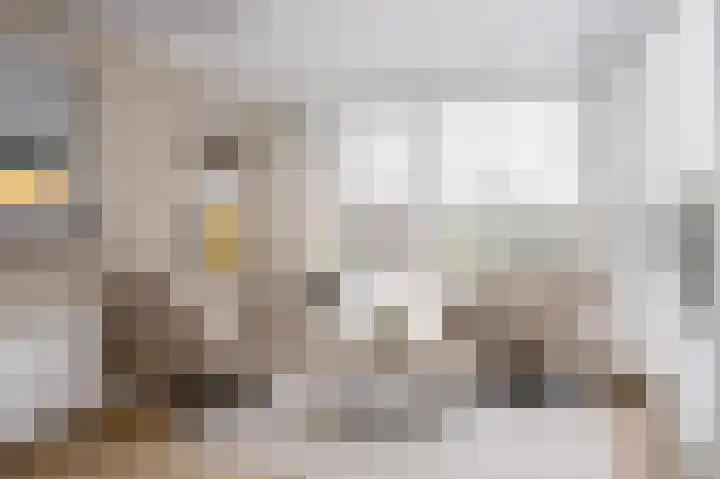 Breewei 75 A Tijnje thumbnail 28