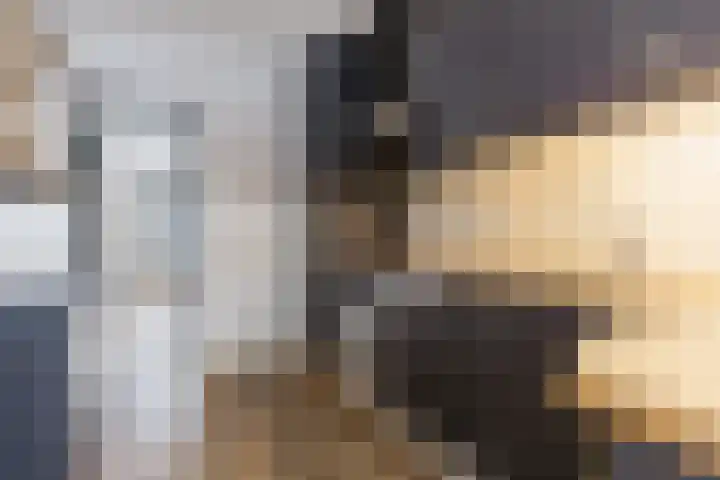 Breewei 75 A Tijnje thumbnail 4