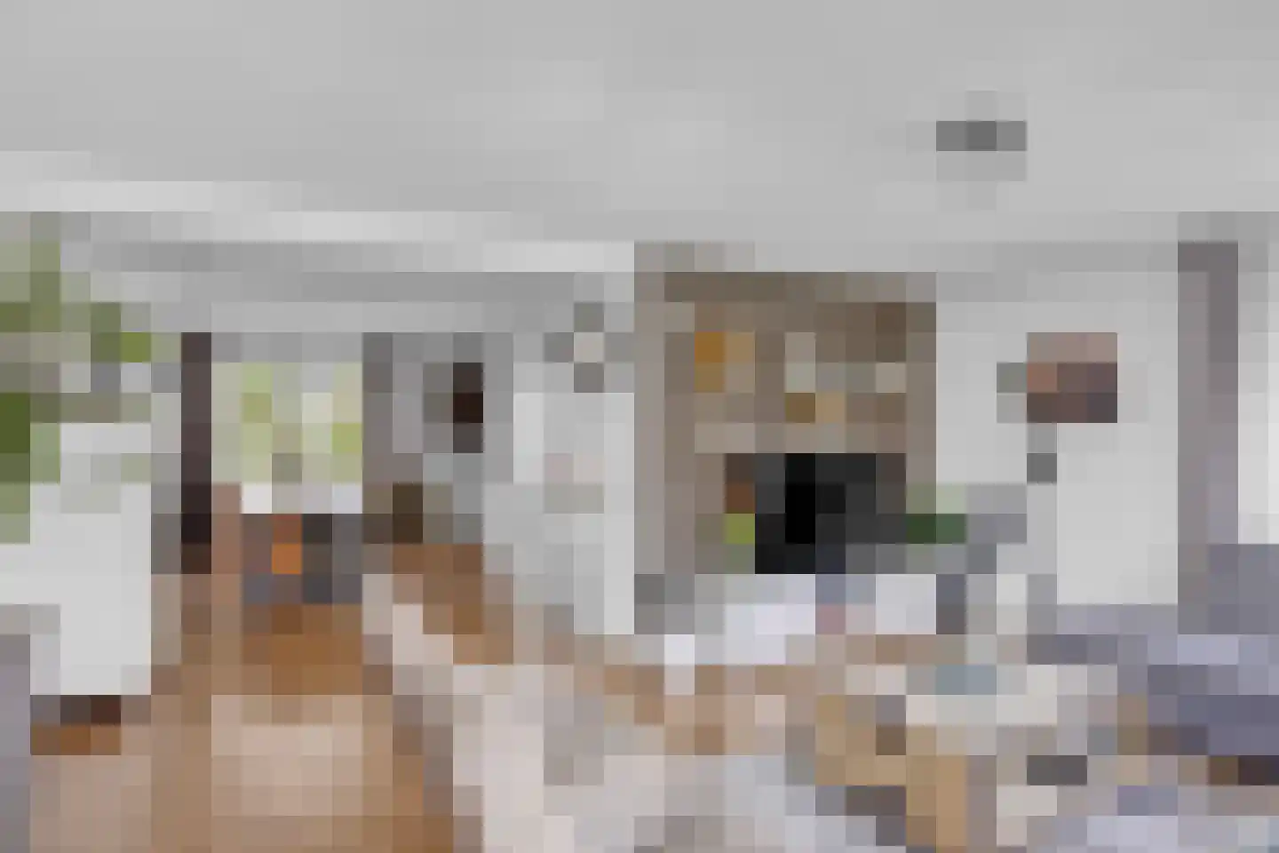 Breewijd 25 Sneek thumbnail 11