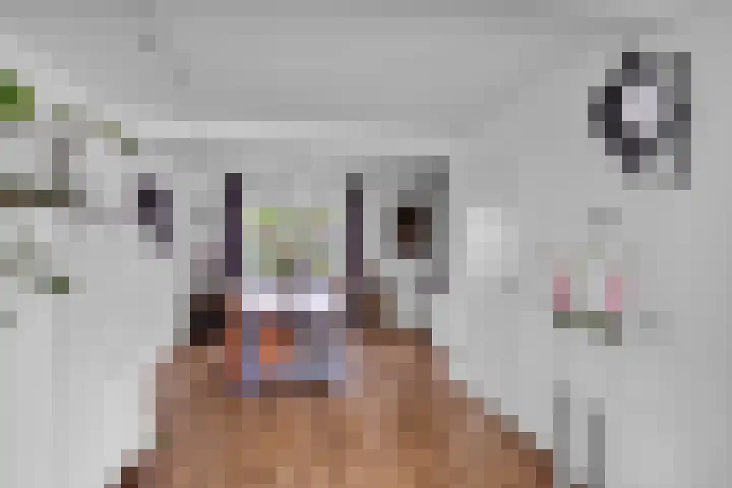 Breewijd 25 Sneek thumbnail 12
